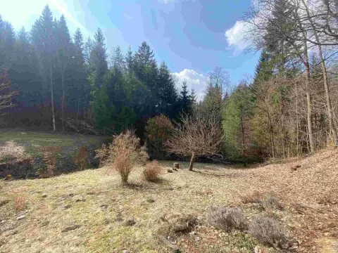 Prodej pozemku, Rokytnice v Orlických horách, 858 m2