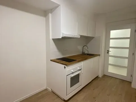 Prodej bytu 1+kk, Praha - Nusle, Pod vilami, 20 m2