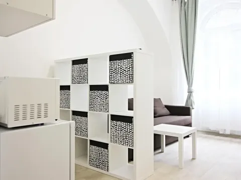 Pronájem bytu 1+kk, Brno, Koliště, 26 m2