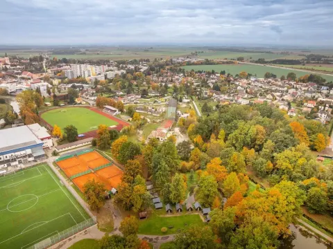 Prodej komerční, Veselí nad Lužnicí - Veselí nad Lužnicí I, Sokolská, 2750 m2