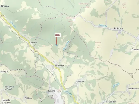 Dražba lesa, Zubrnice, 4610 m2