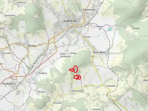 Prodej podílu lesa, Dlouhomilov, 1463 m2