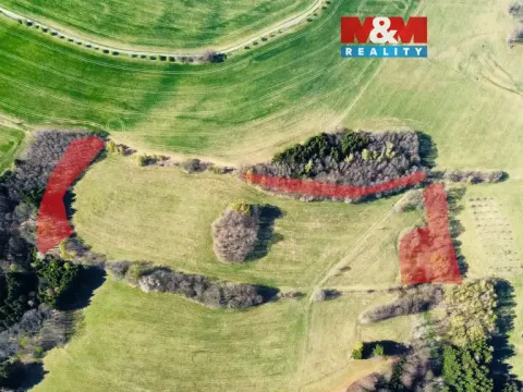 Prodej lesa, Pastviny, 8896 m2