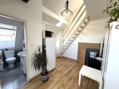 Pronájem bytu 2+kk, Brno - Černovice, Řehořova, 26 m2