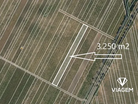 Prodej pole, Valtice, 3250 m2