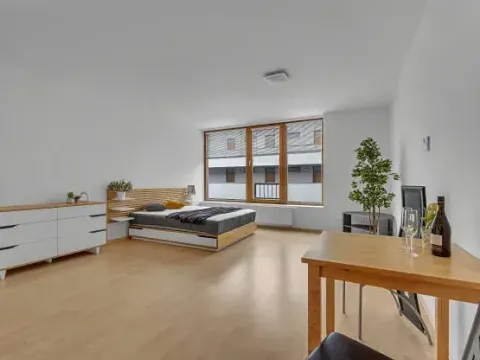 Pronájem bytu 1+kk, Hradec Králové, Kollárova, 46 m2