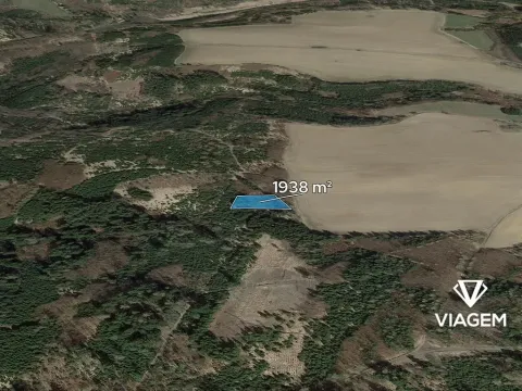 Prodej podílu lesa, Řendějov, 1292 m2