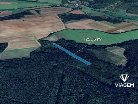 Prodej podílu lesa, Pnětluky, 5210 m2