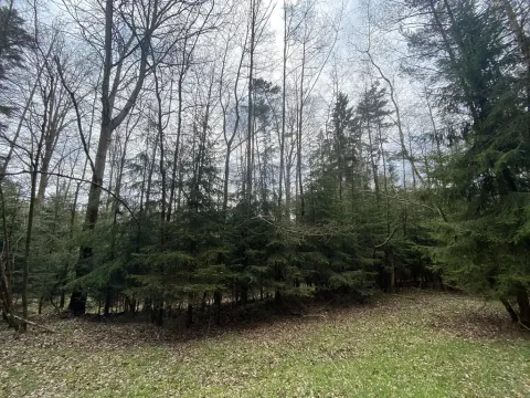 Prodej pozemku, Volfířov - Brandlín, 5958 m2