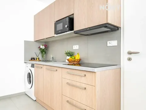 Pronájem bytu 1+kk, Brno, Minská, 21 m2