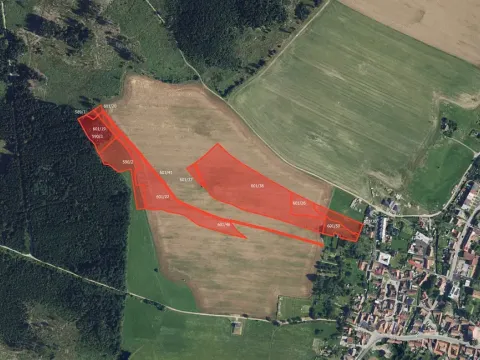 Prodej pole, Žďárná, 29881 m2