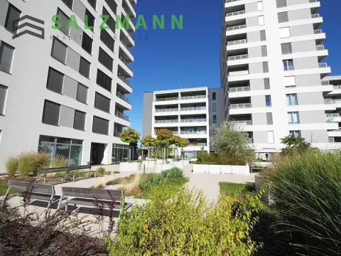Pronájem bytu 1+kk, Plzeň, Nemocniční, 29 m2