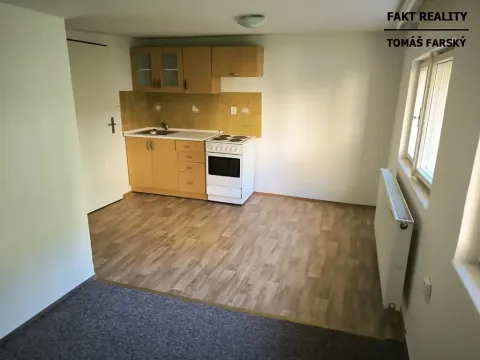 Pronájem bytu 1+kk, Děčín, Teplická, 19 m2