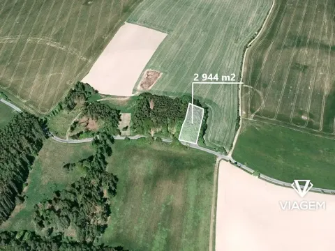 Prodej podílu lesa, Brodek u Konice, 1144 m2