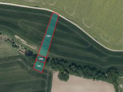 Prodej pole, Řečany nad Labem, 3895 m2