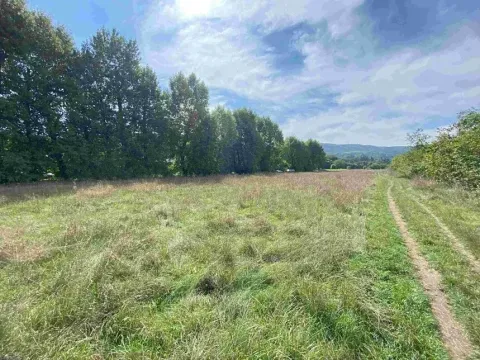 Dražba louky, Všenory, 601 m2