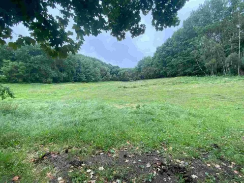 Prodej pole, Úterý - Vidžín, 11289 m2