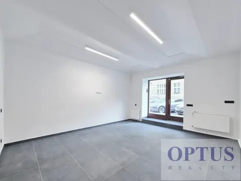 Pronájem obchodního prostoru, Praha - Josefov, Břehová, 54 m2