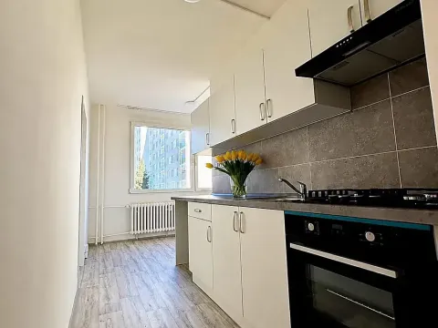 Pronájem bytu 4+1, Litvínov, Školní, 101 m2