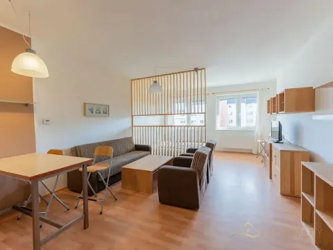 Pronájem bytu 1+kk, Olomouc, Na Tabulovém vrchu, 42 m2