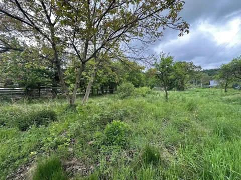 Prodej pozemku pro bydlení, Velká Kraš, 1290 m2