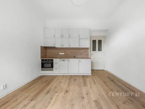 Pronájem bytu 1+kk, Praha - Nusle, Sezimova, 27 m2