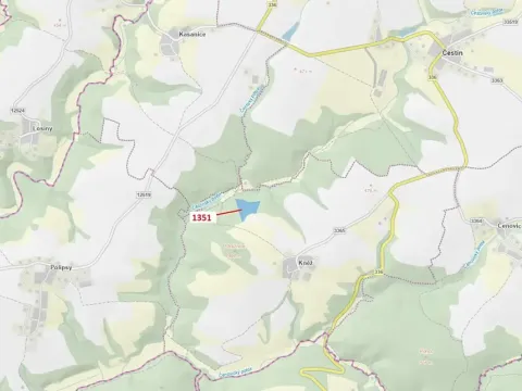Dražba lesa, Čestín, 22508 m2