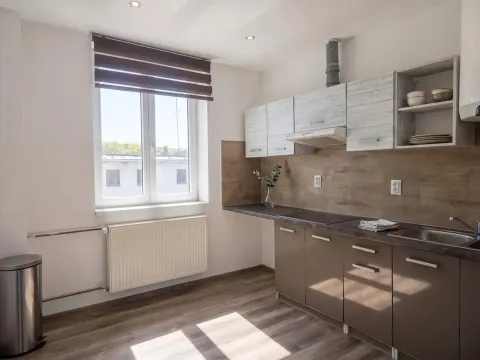 Pronájem bytu 1+1, Teplice, Duchcovská, 48 m2