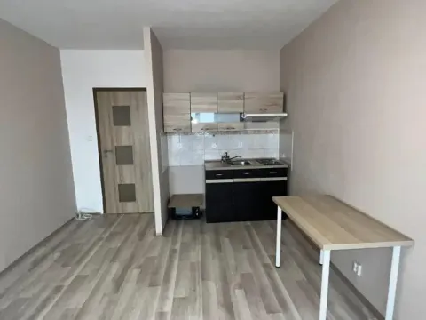 Prodej bytu 1+kk, Ostrava - Zábřeh, Petruškova, 28 m2