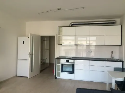 Pronájem bytu 1+kk, Praha - Dejvice, Lindleyova, 32 m2