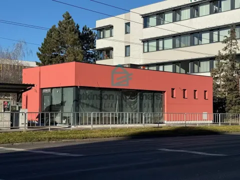 Pronájem obchodního prostoru, České Budějovice - České Budějovice 3, Pražská tř., 88 m2