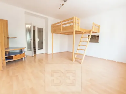 Pronájem bytu 2+1, Praha - Žižkov, Hartigova, 80 m2