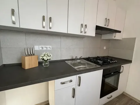 Pronájem bytu 2+1, Most, Václava Talicha, 55 m2