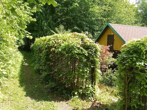 Prodej zahrady, Velké Hamry, 254 m2