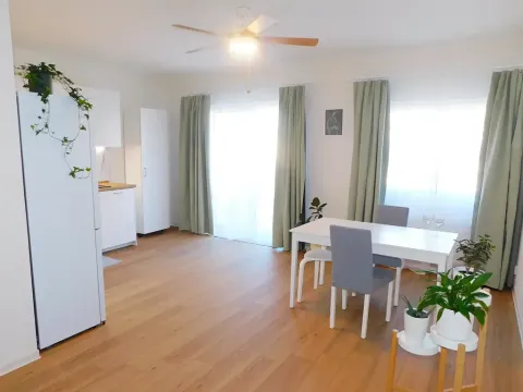 Pronájem bytu 2+kk, Plzeň, Hřímalého, 75 m2