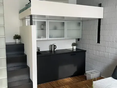 Pronájem bytu 1+kk, Brno, Milady Horákové, 25 m2