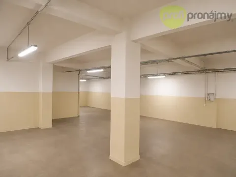 Pronájem skladu, Zlín, Šedesátá, 240 m2