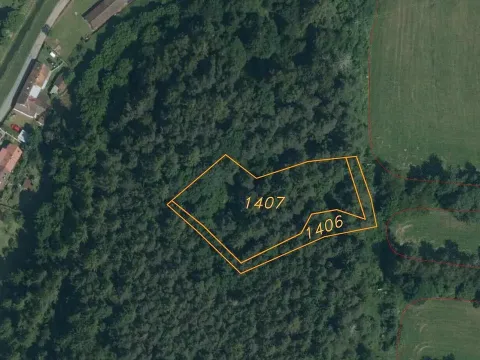 Prodej lesa, Popovice, 3093 m2