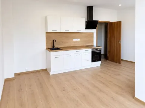 Pronájem bytu 1+kk, Praha - Motol, Podhorská, 27 m2
