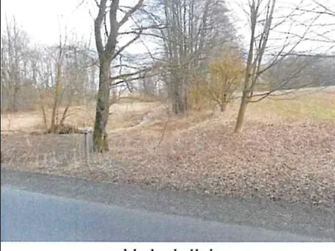 Prodej lesa, Tis, 1692 m2