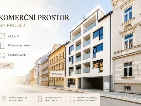Prodej obchodního prostoru, České Budějovice, Štítného, 45 m2