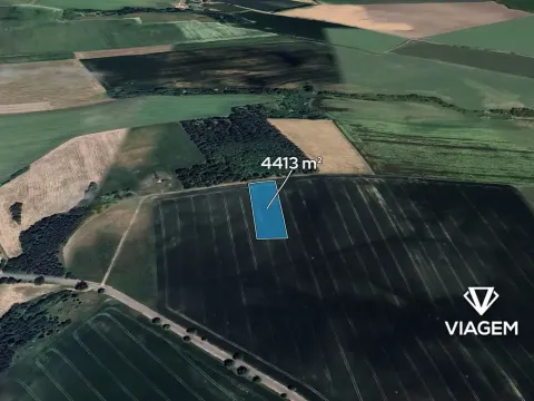 Prodej pole, Prostějovičky, 4413 m2