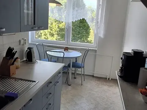 Pronájem bytu 2+1, Boskovice, Bílkova, 54 m2