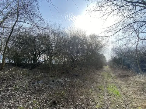 Prodej louky, Městečko Trnávka - Lázy, 1158 m2