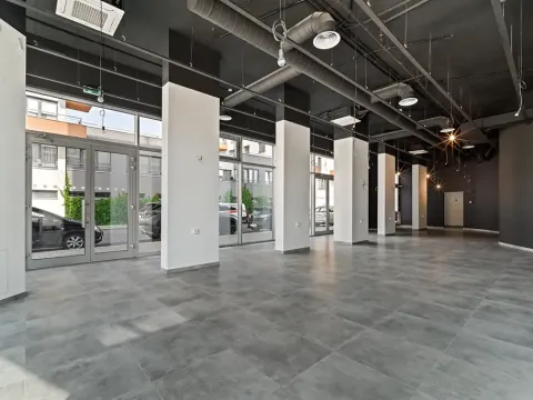 Pronájem restaurace, Praha - Holešovice, V háji, 240 m2