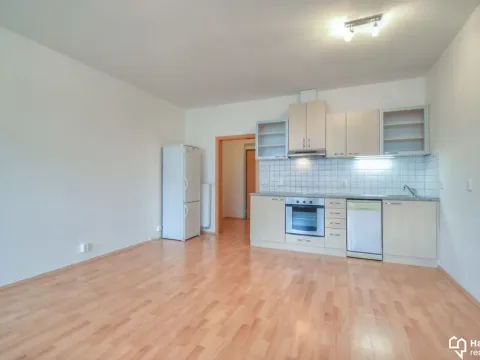 Pronájem bytu 1+kk, Olomouc, Na Tabulovém vrchu, 42 m2