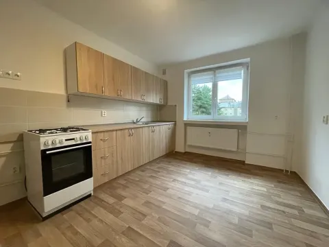 Pronájem bytu 2+1, Třinec, Čapkova, 53 m2