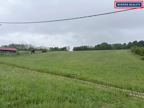 Prodej pozemku pro bydlení, Nesovice, 4059 m2