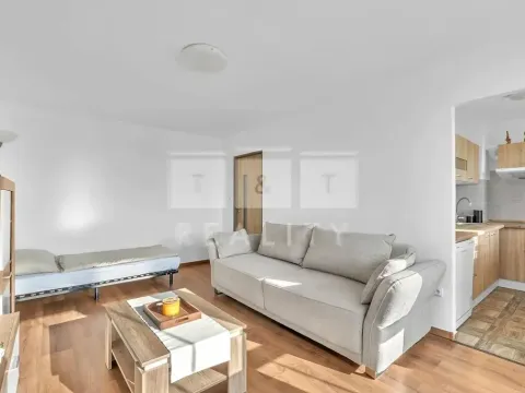 Pronájem bytu 1+kk, Hradec Králové, Jungmannova, 39 m2