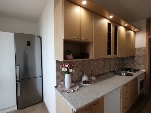 Pronájem bytu 2+1, Uherský Brod, Luhanova, 63 m2
